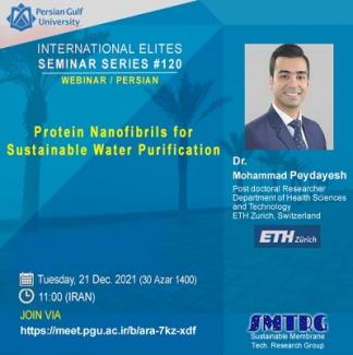 Protein nanofibrils for sustainable water purification